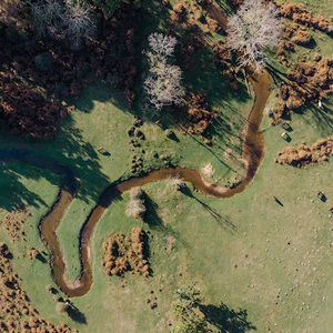 Meet your Posher, Carson